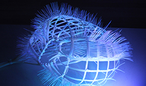 Expo-transmission_photo-comm.jpg